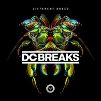 Remember - Dc Breaks