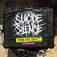 About a Plane Crash - Suicide Silence