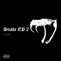 Bruck Beyond Broke - P Money