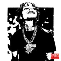Fr!ed - D. Savage
