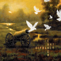Dilate - Ani DiFranco