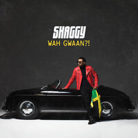 Praise - Shaggy