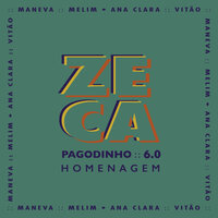Lama Nas Ruas - Zeca Pagodinho, Melim
