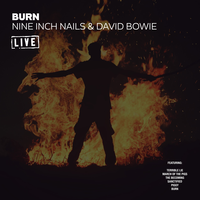 Subterraneans - Nine Inch Nails, David Bowie