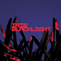 Prophetic - Iris