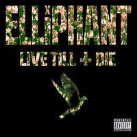 Pee On Ya Fire - Elliphant