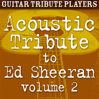 I'm a Mess - Guitar Tribute Players