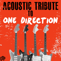 Midnight Memories - Guitar Tribute Players