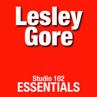 It's Too Late - Lesley Gore