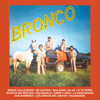 Amor Y Odio - Bronco