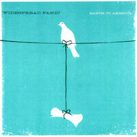 Crazy - Widespread Panic