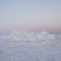 Long Grass - Billy Woods, Pink Siifu