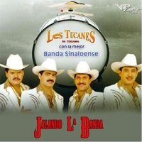 La Profecia - Los Tucanes De Tijuana