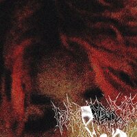 Bloody Boy - Hector Vae