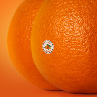 Sundays - Emotional Oranges