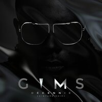 Skyfall - GIMS