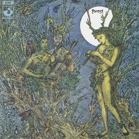 A Glade Somewhere - Forest