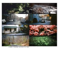 sycamore - American Pleasure Club, Teen Suicide