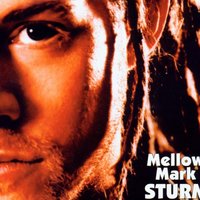 Wieso - Mellow Mark, Criminal