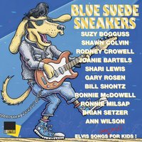 Love Me Tender - Shawn Colvin