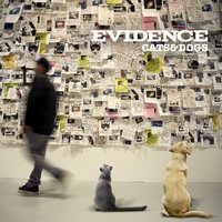 Late For The Sky - Evidence