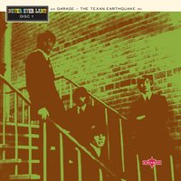 Pink Stainless Tail - The Red Crayola