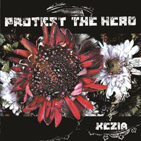 Nautical - Protest The Hero