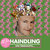 Haindling