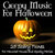 Network Music Ensemble