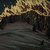 Helengard