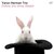 Yaron Herman