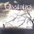 Obsidian